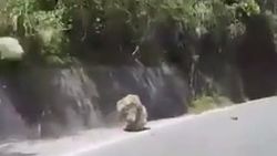 Tayvan'da kaya araçların üstüne düştü