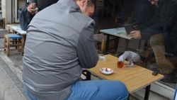 Trabzon'da çay tiryakisi papağan