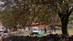 Manisa'da trafik kazası: 1 ölü, 5 yaralı