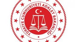 Ticari davalara erişim kararı