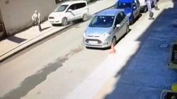 Ordu’da cinayet gibi kaza