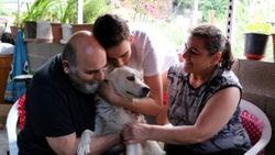 Kayıp köpeğini bulan aile gözyaşlarını tutamadı