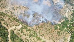 Kahramanmaraş'ta ormanlık alanda yangın çıktı