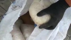 Van'da 48 kilo gram toz esrar ele geçirildi