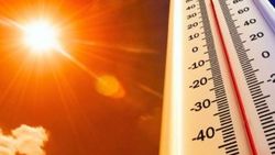 Hindistan'da sıcak hava nedeniyle 184 kişi öldü