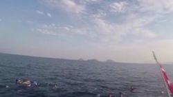 Bodrum'da kaçak göçmenleri taşıyan tekne battı