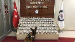 Narkotik köpeği Zeyna iş başında