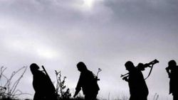 Bitlis’te bir terörist etkisiz hale getirildi