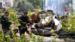 Kocaeli'de fırtına ağaçları devirdi: 1 yaralı