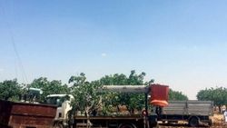Şanlıurfa’da kaçak mobil trafo ele geçirildi