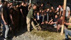 Hakkari'de şehitler için kurban