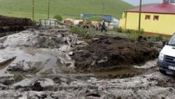 Ardahan'da kuvvetli sağanak ve dolu hasara yol açtı
