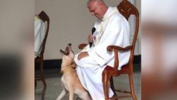 Kilisede ayin sırasında oyun oynayan köpek