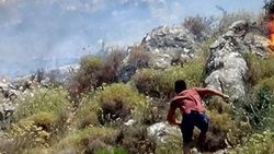 Balıkesir'de orman yangını
