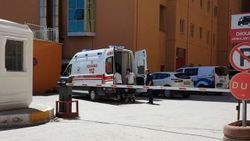 Erzincan'da gelin kayınvalidesini öldürdü