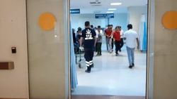 Siirt’te yılanın ısırdığı adam tedavi altına alındı