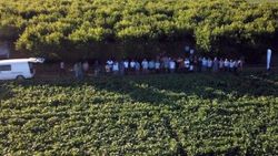 Bursa'da fasulyeden kazanan çiftçilerin mangal partisi