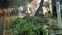 Yunanistan'da çıkan fırtınada 6 turist öldü