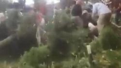 Azerbaycan’da ağaç devrildi: 19 yaralı
