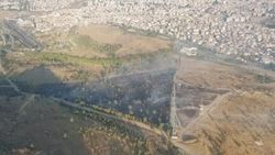 İzmir'de ağaçlandırılan erozyon sahasında yangın