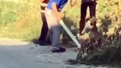 Tekirdağ’da köpeği döven kişiye para cezası