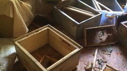 Rize’de eve giren ayı eşyaları parçaladı
