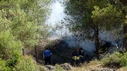 Hatay'da orman yangını