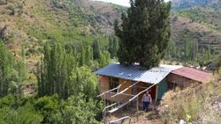 Hayalini kurduğu evi ardıç ağacına yaptı