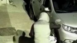 İstanbul’da motosiklet çalan hırsızlar