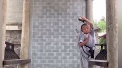 Küçük çocuğun muhteşem Kung Fu şovu