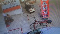 Gebe kediyi pitbullun önüne atıp parçalattı