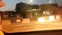 İngiliz polisi dinozor kovaladı