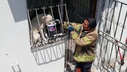 Pencere parmaklıklarına sıkışan köpek kurtarıldı
