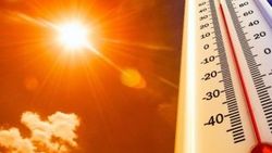 Hollanda’da 75 yıllık sıcaklık rekoru: 38,8 derece