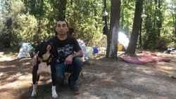 İstanbul’daki ormanlık alanlarda 6 yıl yaşadı