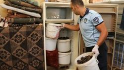 Antalya'da bin 180 kilogram midyeye el konuldu