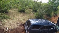 Ordu'da otomobil fındık bahçesine düştü: 8 yaralı