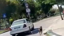 Arabasını kirletmesin diye köpeği sürükledi