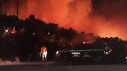 İzmir’de zeytinlik alanda yangın