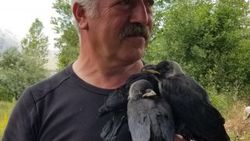 Erzincan'da bir baba, kargalara çocuklarının adını verdi