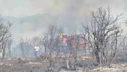 Çanakkale'de 70 dönümlük makilik alan kül oldu