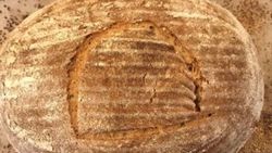 4500 yıllık maya ile ekmek pişirdi
