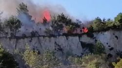 Biga'da orman yangını çıktı