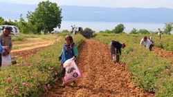 Burdur'da tarla sulayan şahsın şüpheli ölümü