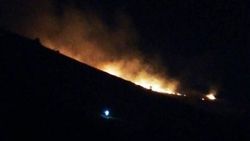 Beydağı'nda çıkan yangın, 5 hektarlık alanı küle çevirdi