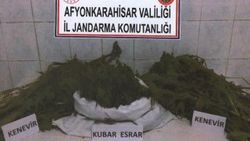 Afyon'da 1 kilo esrar ve 80 kök kenevir ele geçirildi