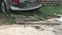Kaza yapan otomobil hamakta yatan çocuğun üzerine düştü
