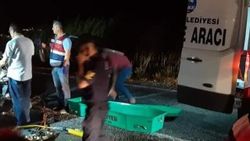 Söke’de trafik kazası: 1 ölü, 3 yaralı