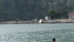 Sürücüsüz sürat teknesi, askeri limana çarptı
