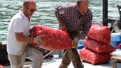 Balıkçılar rotayı salyangoza çevirdi